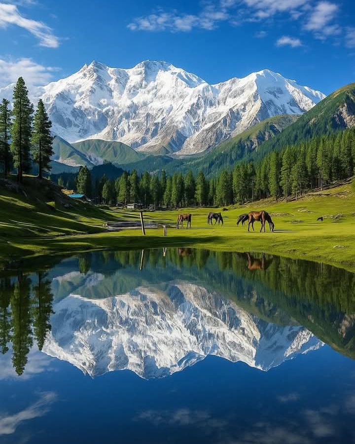 Fairy Meadows