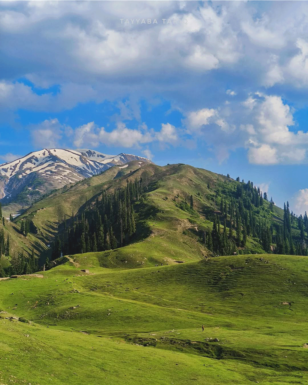 Naran Khaghan