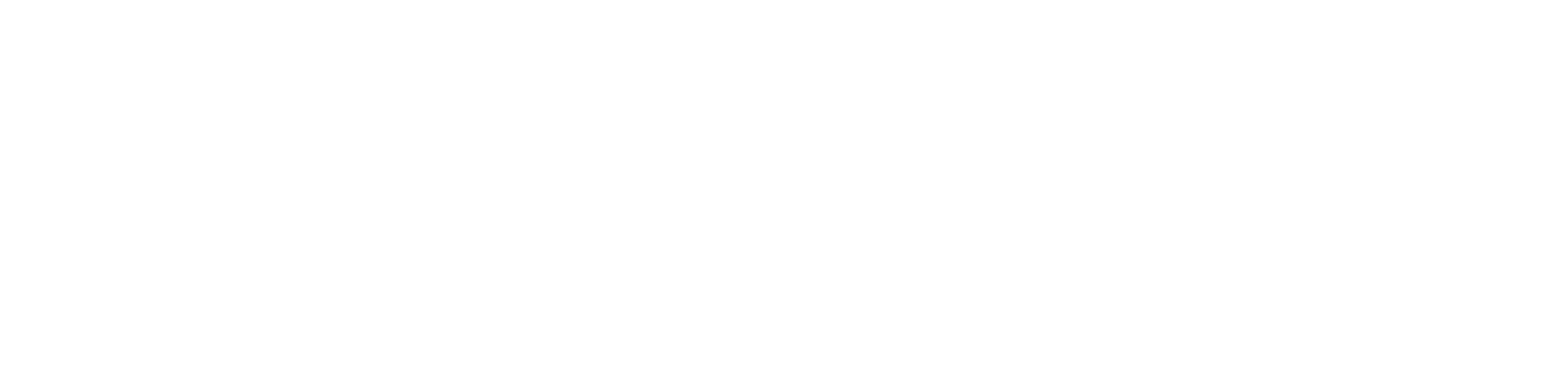 logo variation 12 scaled